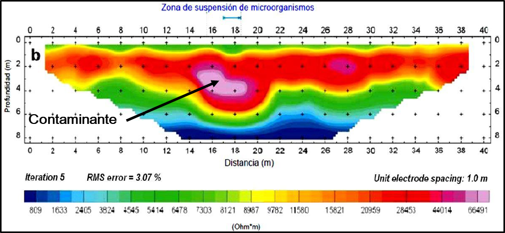 medioambiente3